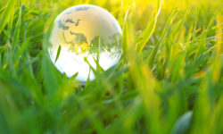 Lorem ipsum dolor sit