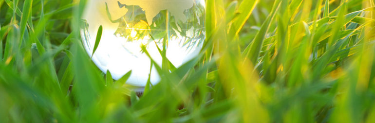 Lorem ipsum dolor sit